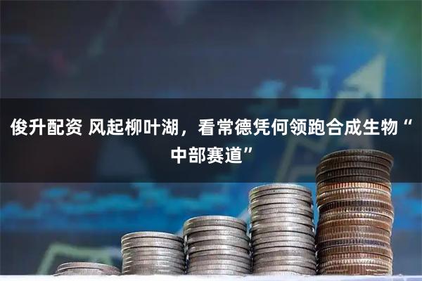 俊升配资 风起柳叶湖，看常德凭何领跑合成生物“中部赛道”
