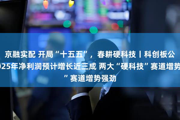 京融实配 开局“十五五”，春耕硬科技丨科创板公司2025年净利润预计增长近三成 两大“硬科技”赛道增势强劲